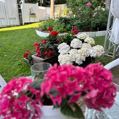 Paivilla Boutique Bed & Breakfast *
