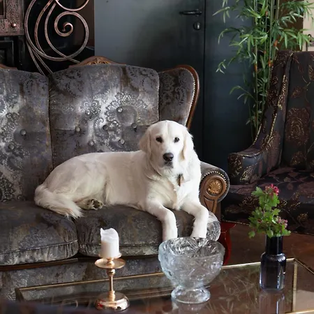 Paivilla Boutique Bed & Breakfast *