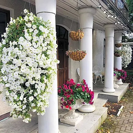 Paivilla Boutique B&B