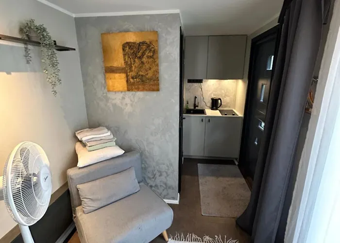 Paivilla Boutique 住宿加早餐酒店 塔林