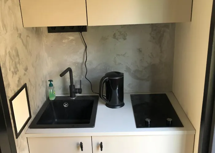 Paivilla Boutique 3* 塔林