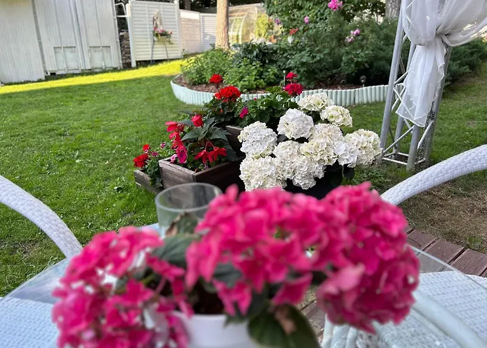 Paivilla Boutique Bed & Breakfast 3*