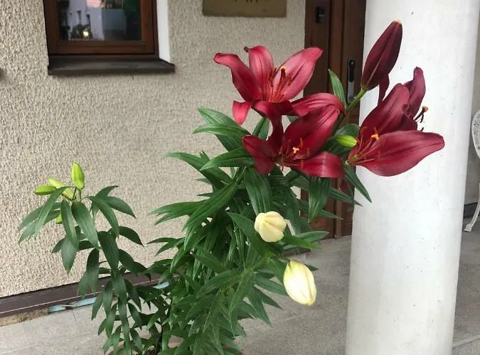 Paivilla Boutique Таллінн