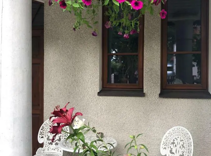 Paivilla Boutique Таллінн